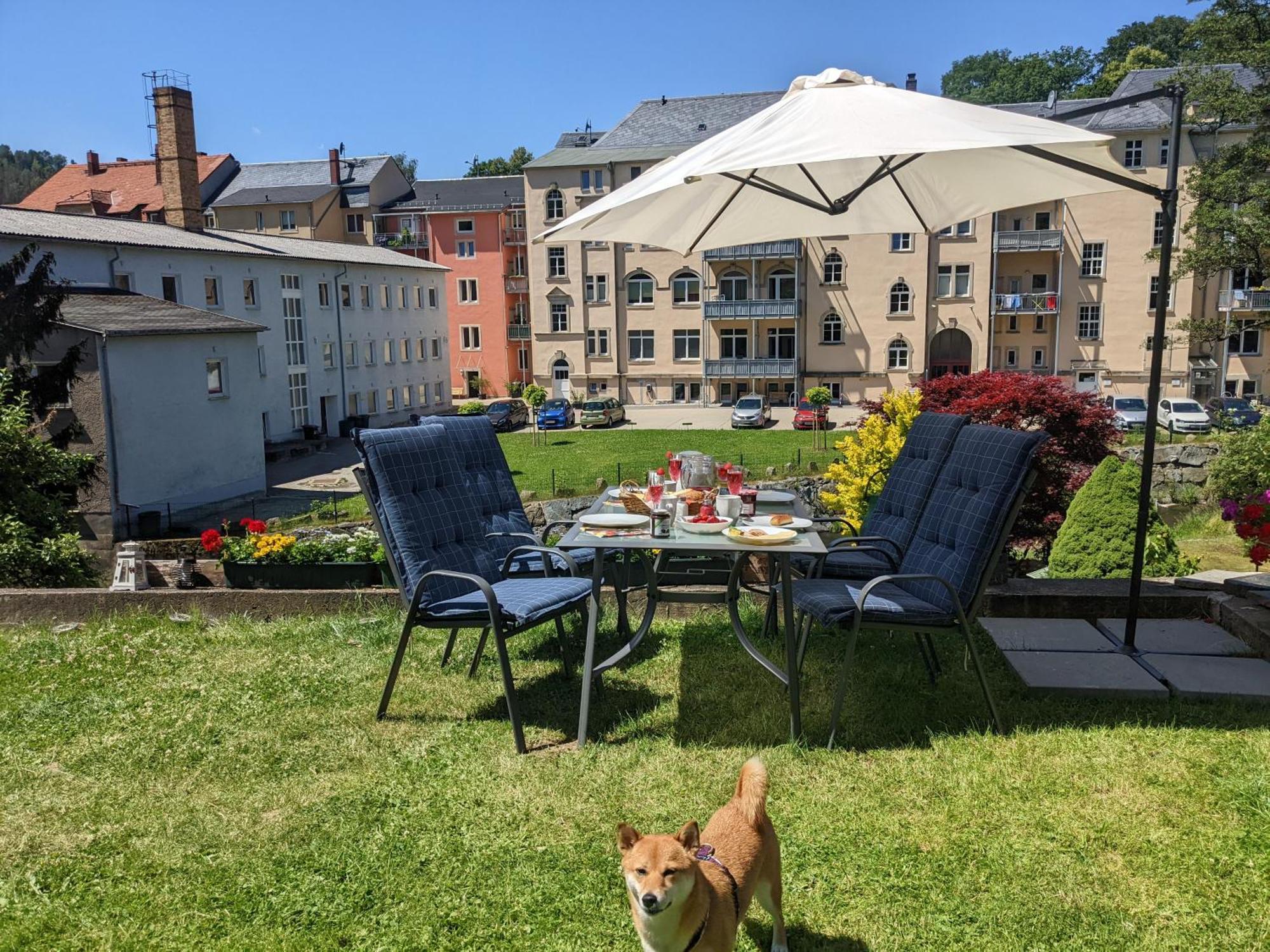 F1 - Urlaubsmagie - Helle Wohnung Mit Sauna & Pool & Whirlpool เซบนิทซ์ ภายนอก รูปภาพ
