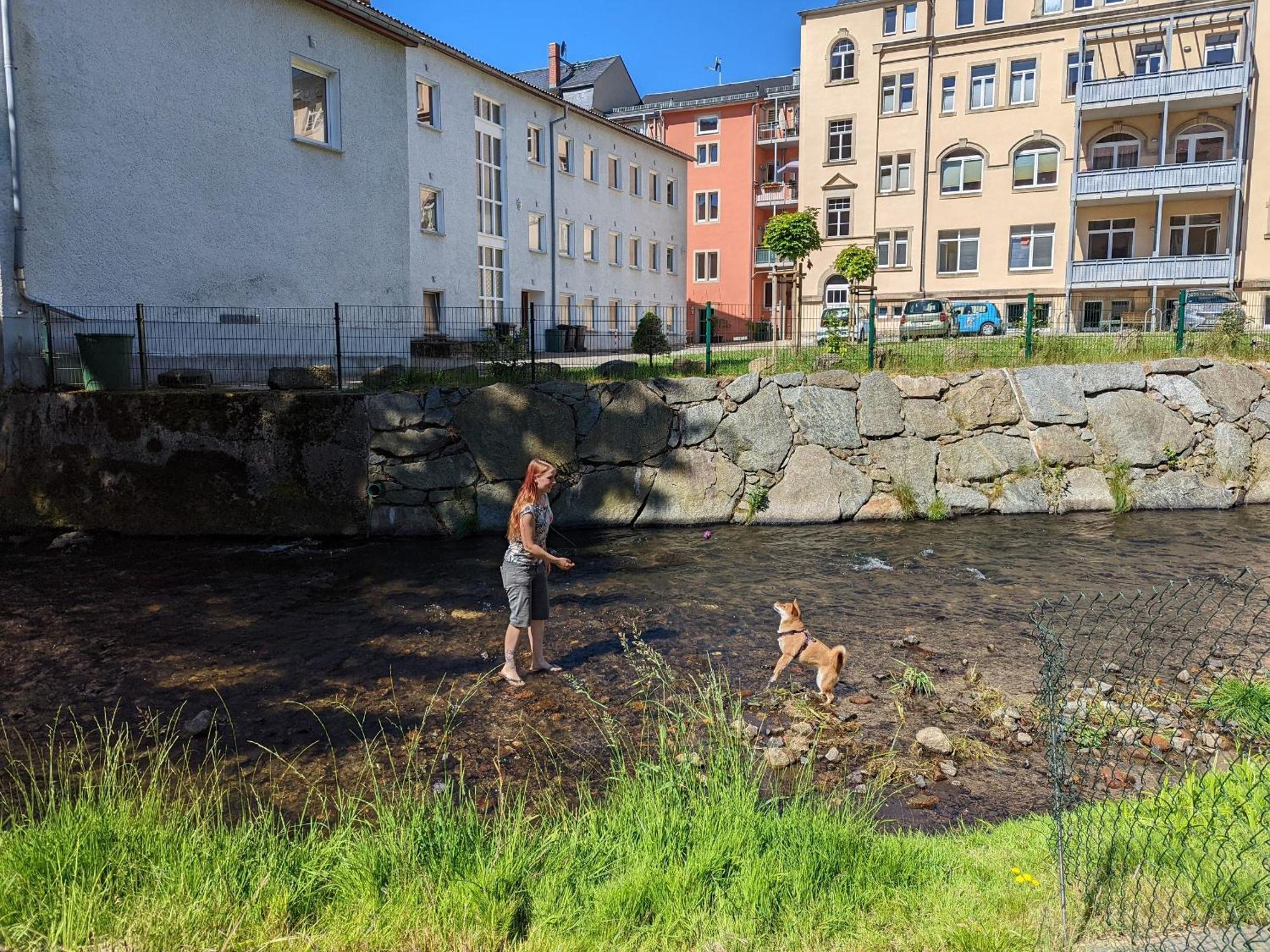 F1 - Urlaubsmagie - Helle Wohnung Mit Sauna & Pool & Whirlpool เซบนิทซ์ ภายนอก รูปภาพ