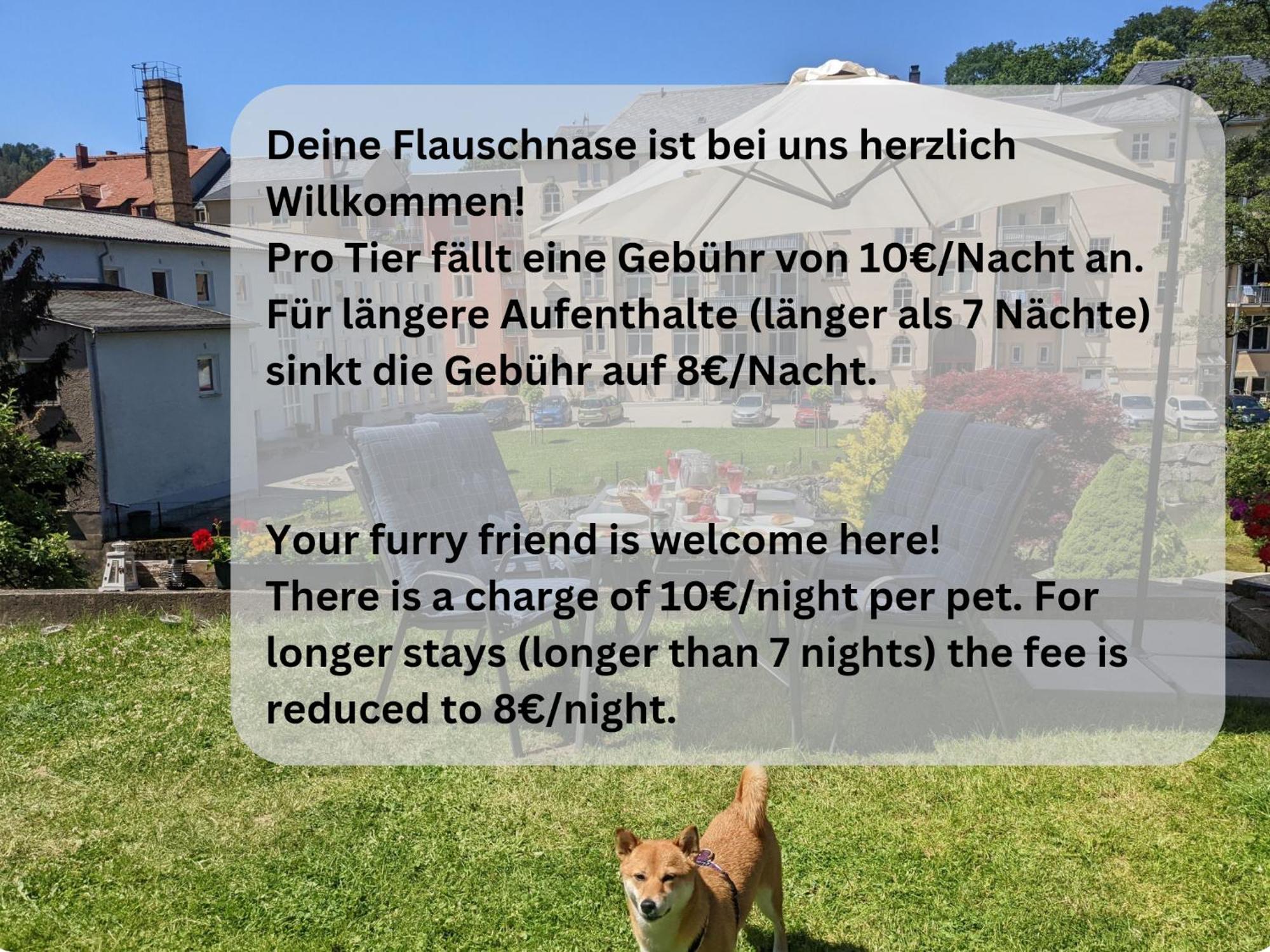 F1 - Urlaubsmagie - Helle Wohnung Mit Sauna & Pool & Whirlpool เซบนิทซ์ ภายนอก รูปภาพ